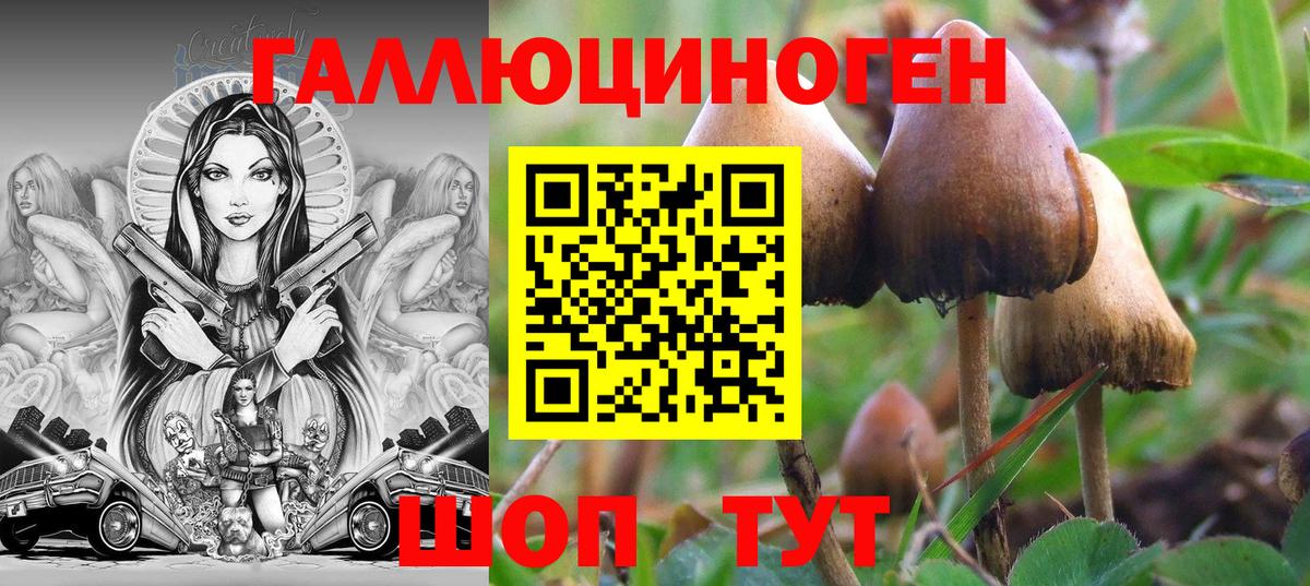 Нижний Новгород  Галлюциногенные грибы Psilocybe  Вход с VPN  Галлюциногенные грибы MAGIC MUSHROOMS 