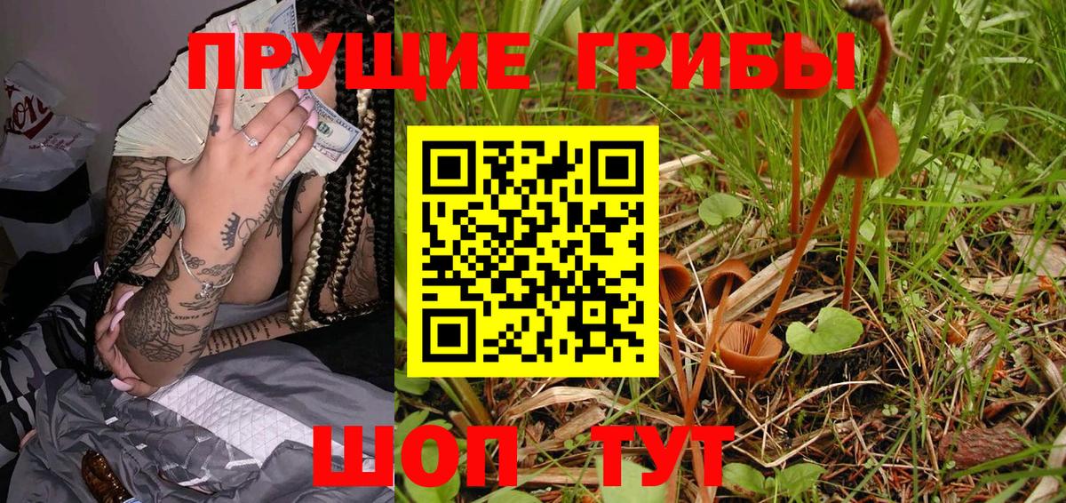 Галлюциногенные грибы Psilocybine cubensis Нижний Новгород
