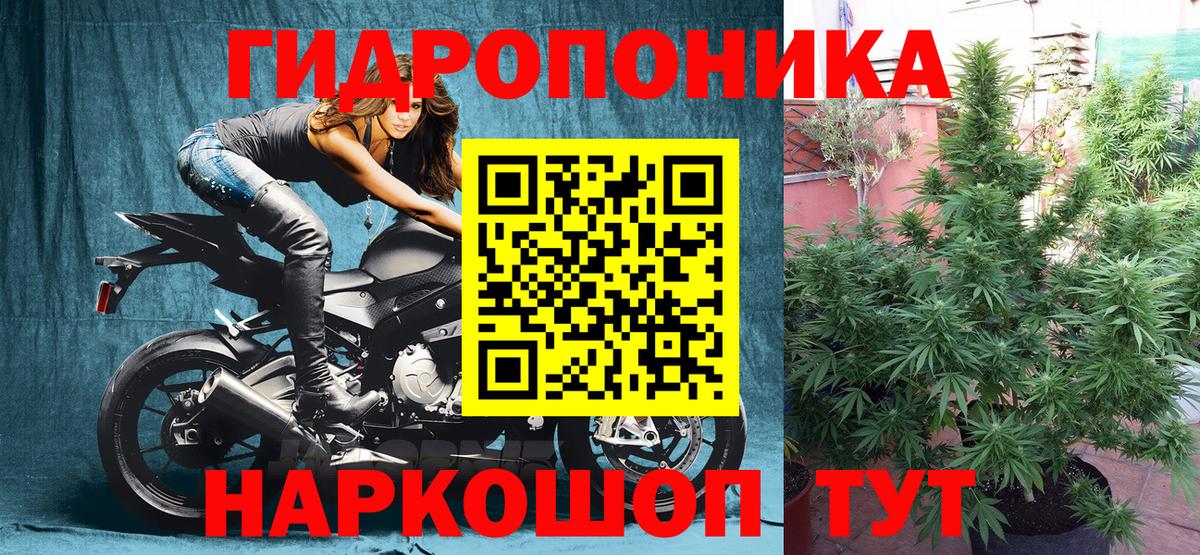 Конопля конопля  Бошки Шишки сатива  Вход с VPN  Канабис Bruce Banner  Нижний Новгород  Канабис White Widow 